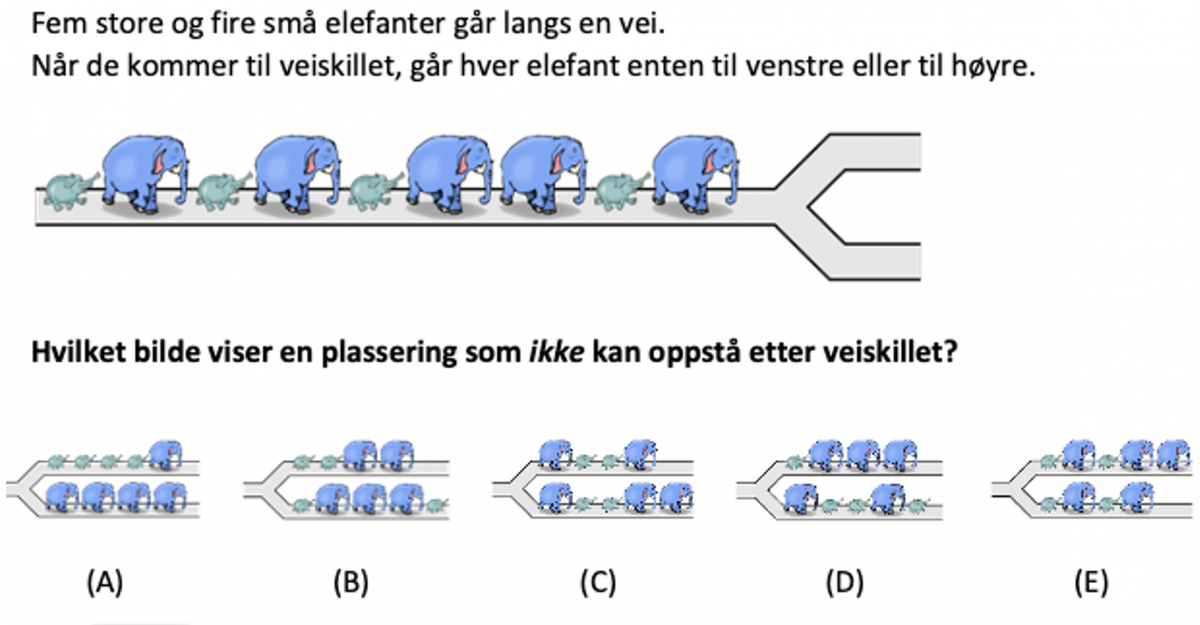 Hvorfor Er Dette Riktig, Og Hvorfor Er Dette Feil? | Matematikksenteret